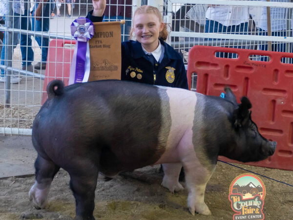 Young girl in a blue jacket kneeling next to her ribbon-winning hog at the Bishop, California fair, smiling and holding an award amidst the stunning backdrop of the Eastern Sierra. visit bishop