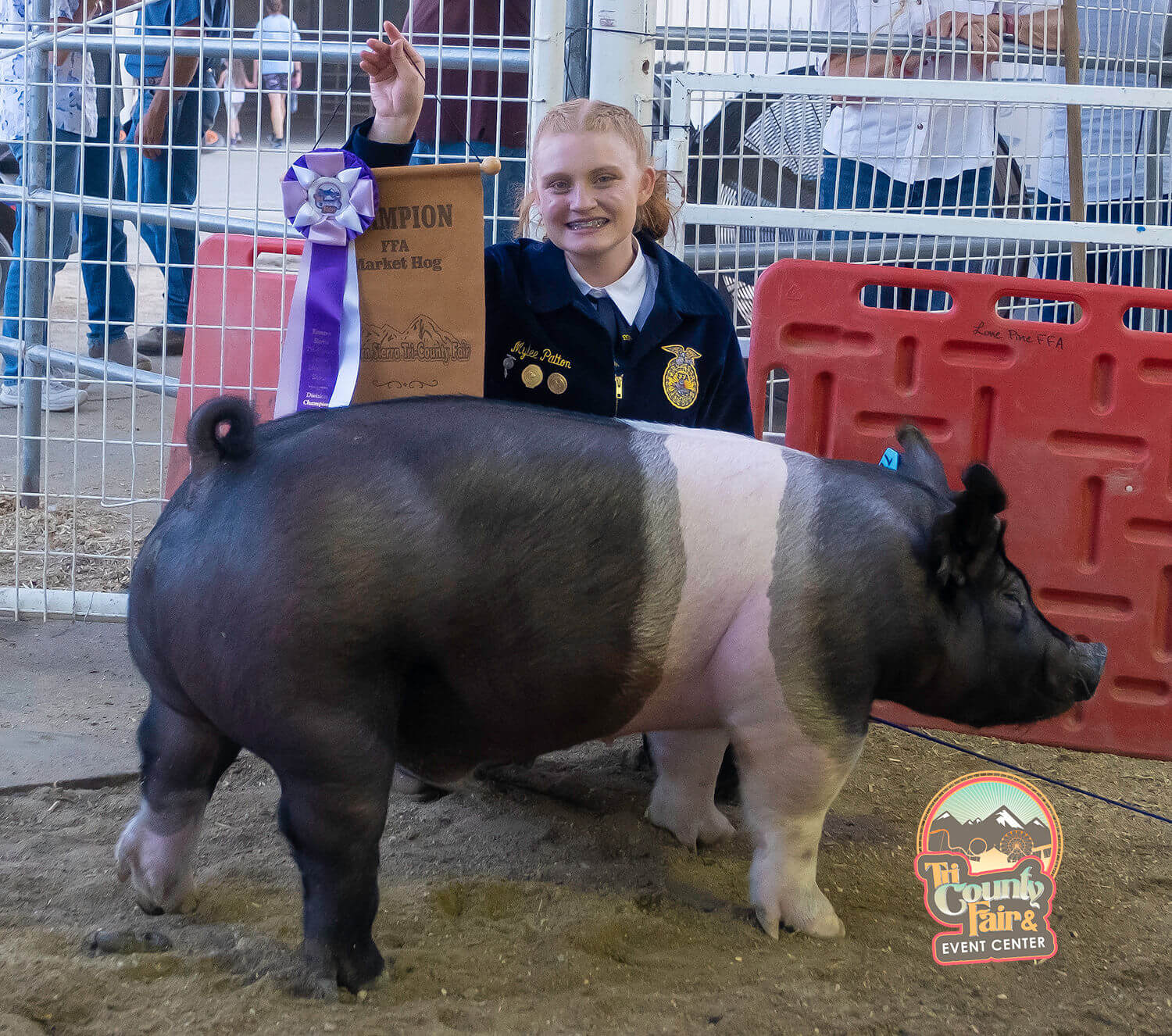 Young girl in a blue jacket kneeling next to her ribbon-winning hog at the Bishop, California fair, smiling and holding an award amidst the stunning backdrop of the Eastern Sierra. visit bishop