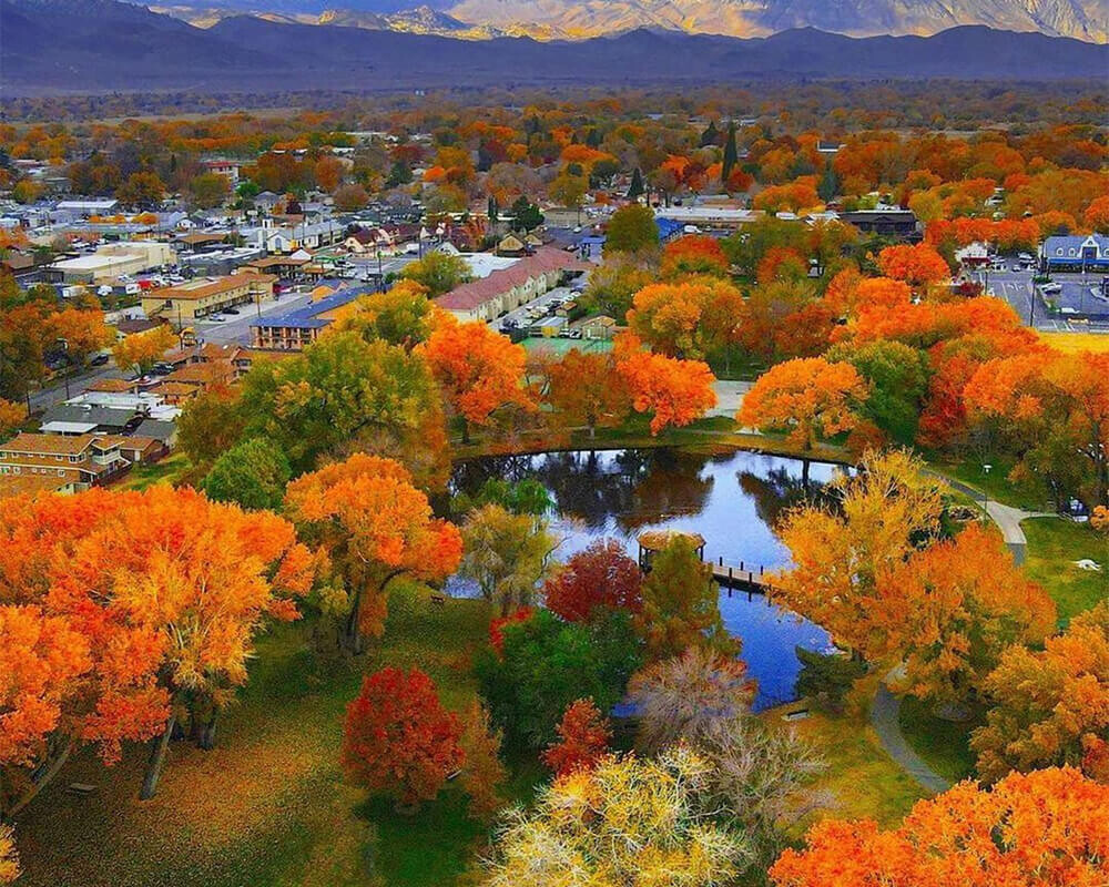 Aerial view of Bishop, California, surrounded by autumn foliage with vibrant orange, red, and yellow trees. A reflective pond is situated in the middle of a park. Snow-capped mountains and a partly cloudy sky are visible in the background. visit bishop