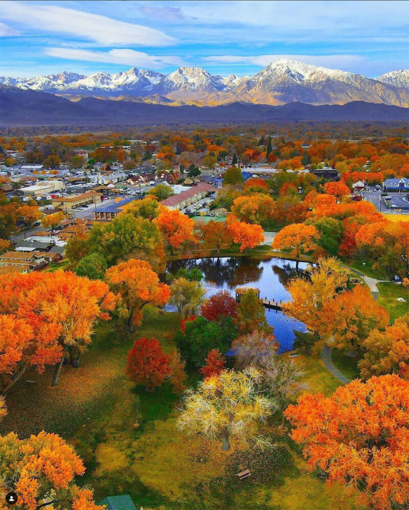 Aerial view of Bishop, California, surrounded by autumn foliage with vibrant orange, red, and yellow trees. A reflective pond is situated in the middle of a park. Snow-capped mountains and a partly cloudy sky are visible in the background. visit bishop