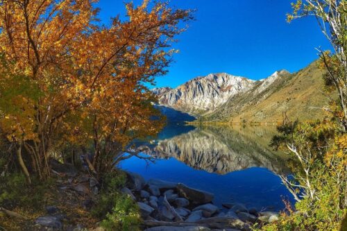 Clear lake reflecting mountains and autumn trees under a bright blue sky. Rocky shoreline in the foreground. visit bishop