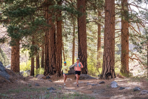 Two people are trail running through a forest of tall pine trees in Bishop, California. They both wear athletic gear, including caps and sunglasses. The ground is covered with pine needles and rocks, and sunlight filters through the trees, creating a serene outdoor atmosphere. visit bishop