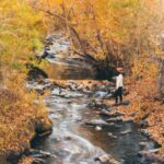 Person gazes at a stream flowing through an autumn forest with golden leaves in Eastern Sierra near Bishop, California. visit bishop