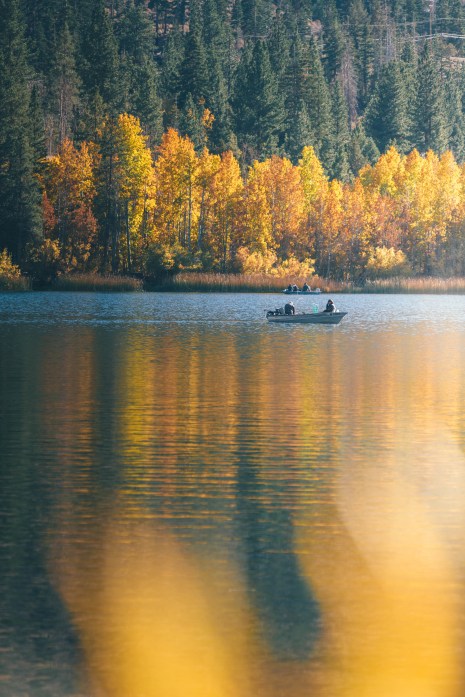 Viewing gull lake for fall