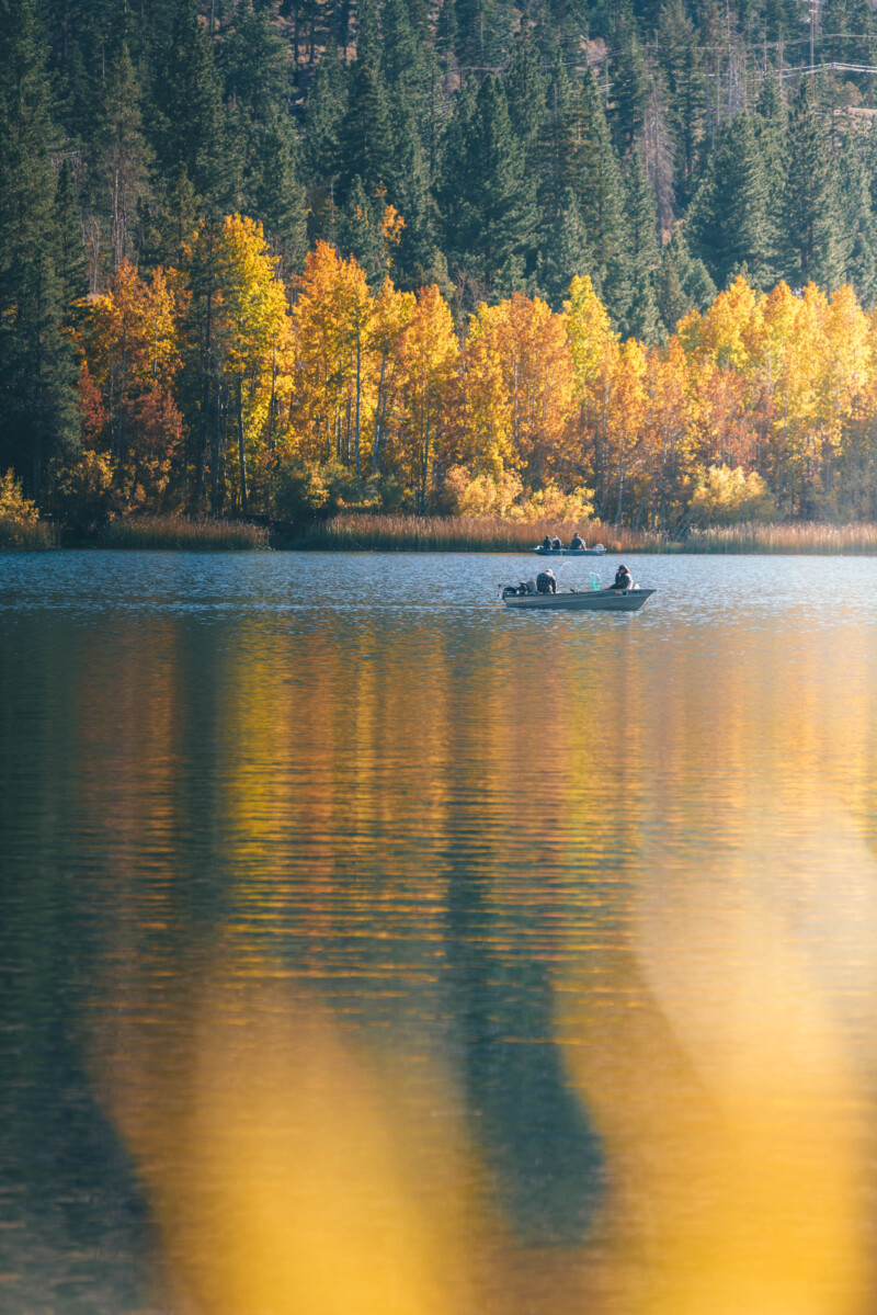 A tranquil lake in Bishop, California is surrounded by autumn foliage, with vibrant yellow and orange trees. Two people in a small boat are fishing in the middle of the lake, their reflections shimmering in the calm water, which mirrors the brilliant fall colors and evergreen trees on the shore. visit bishop