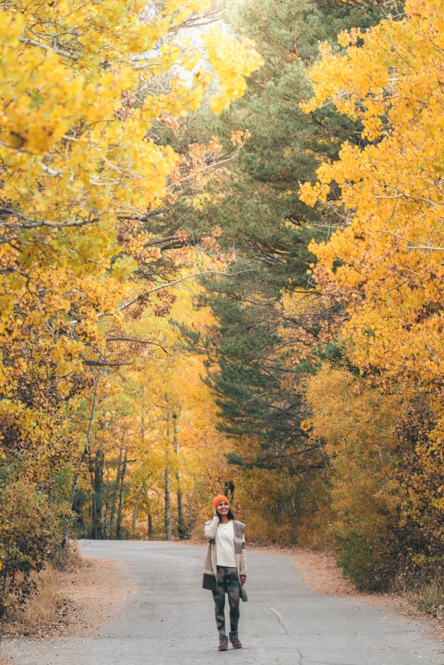 June Lake Loop Fall colors