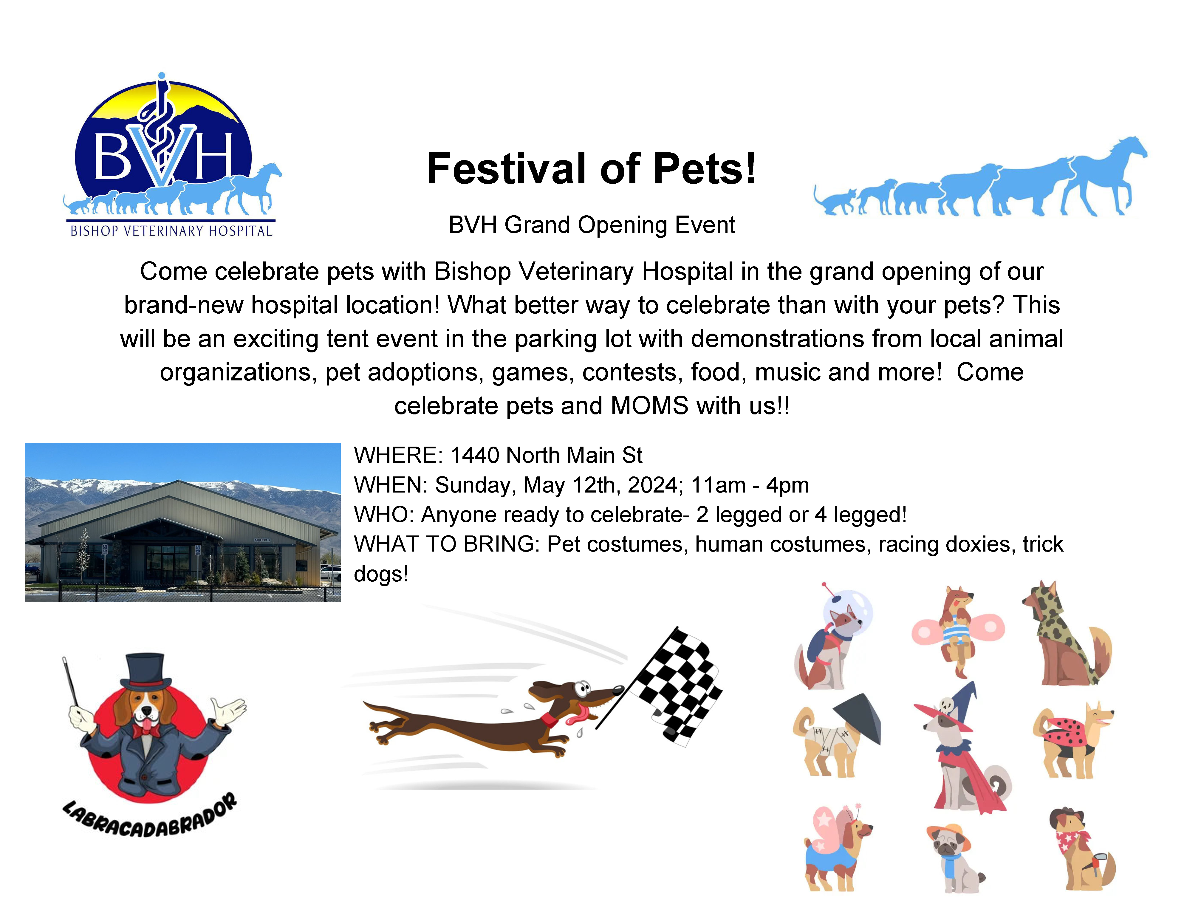 Flyer for the Festival of Pets at BVH Grand Opening Event in Bishop, California, with event details and images of pets and a veterinary hospital building nestled against the beautiful backdrop of the Eastern Sierra. visit bishop