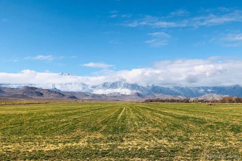 Field with green grass leads to mountains partially covered in snow under a bright blue sky with scattered clouds. visit bishop