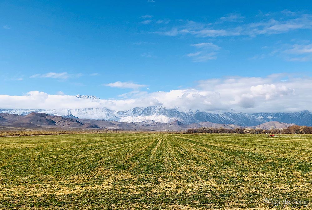 Field with green grass leads to mountains partially covered in snow under a bright blue sky with scattered clouds. visit bishop