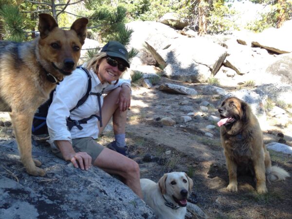 A woman wearing a hat, sunglasses, and a white shirt with a backpack sits on the rocky terrain of Bishop, California, surrounded by three dogs. One is next to her, the second is sitting in front, and the third is on the right, panting. Trees and rocks are visible in the background. visit bishop