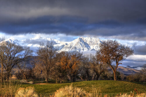 Snow-capped mountains under dramatic clouds, with bare trees and green grass in the foreground. visit bishop