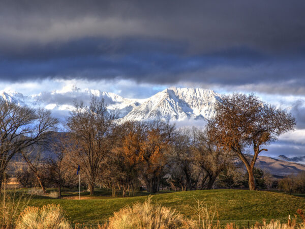 Snow-capped mountains under dramatic clouds, with bare trees and green grass in the foreground. visit bishop