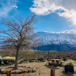 A picnic table and tree under a sunny sky with snow-capped mountains in the background, set in the picturesque beauty of Bishop, California, within the stunning Eastern Sierra. visit bishop