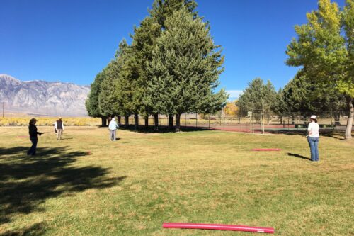 Four people are enjoying a lawn game with red equipment on a grassy field, surrounded by the stunning trees and mountains of Bishop, California. visit bishop