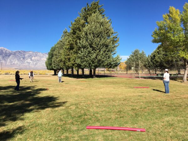 Four people are enjoying a lawn game with red equipment on a grassy field, surrounded by the stunning trees and mountains of Bishop, California. visit bishop