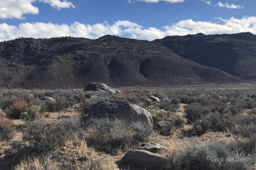 A rocky desert landscape with sparse vegetation and distant hills under a blue sky with scattered clouds. visit bishop