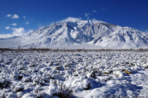 Snow-covered mountains and fields under a bright blue sky. visit bishop