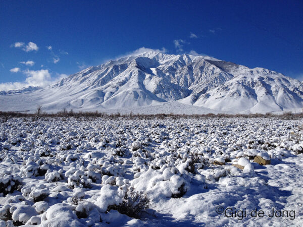 Snow-covered mountains and fields under a bright blue sky. visit bishop