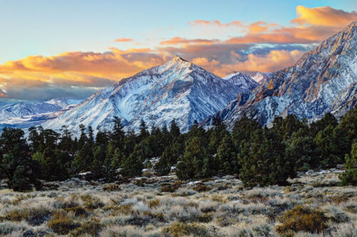 Snow-capped mountain range at sunset with a forested foreground and colorful clouds in the sky. visit bishop