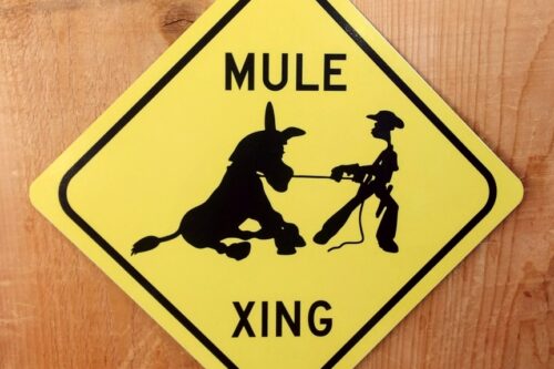 A diamond-shaped yellow sign with the text "MULE XING" evokes the spirit of Bishop, California. It features a black silhouette of a cowboy leading a mule with a rope and is attached to a wooden surface with a hook. visit bishop