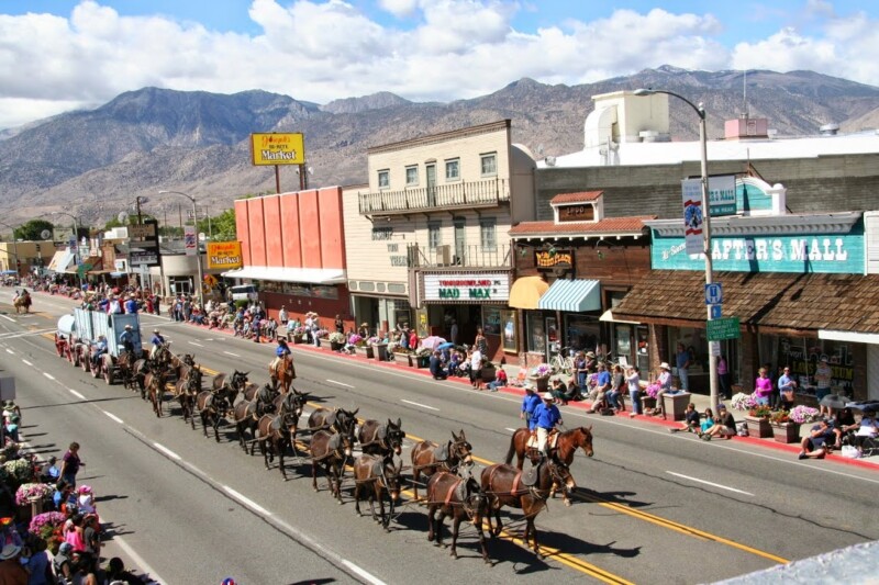 A parade in a small town with horses, people watching, and mountains in the background. visit bishop