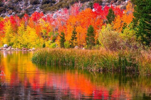 A tranquil lake reflecting vibrant autumn trees in hues of red, orange, and yellow with surrounding greenery. visit bishop