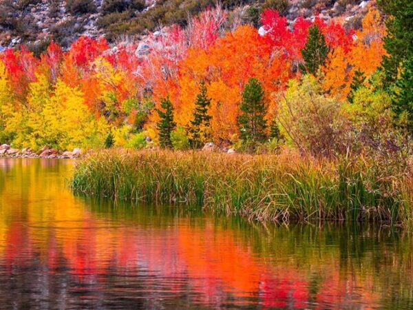 A tranquil lake reflecting vibrant autumn trees in hues of red, orange, and yellow with surrounding greenery. visit bishop