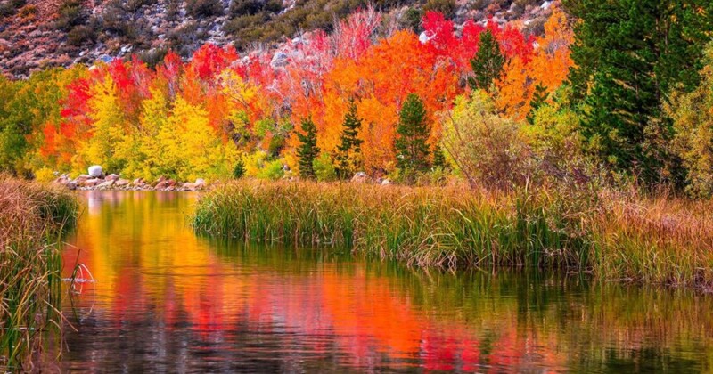 A tranquil lake reflecting vibrant autumn trees in hues of red, orange, and yellow with surrounding greenery. visit bishop