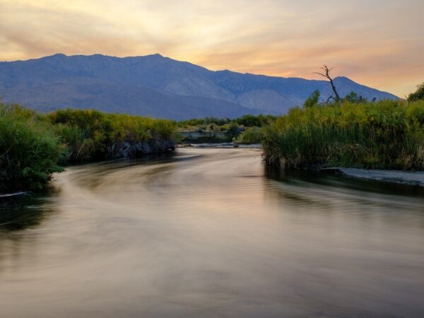 A tranquil river meanders through grassy banks near Bishop, California, with the majestic Eastern Sierra mountains and a softly lit sky in the background. visit bishop