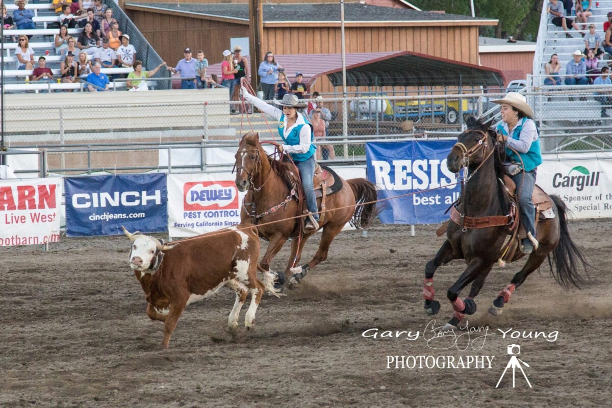 Two rodeo participants on horseback lasso a calf in a rodeo arena, with spectators and sponsor banners in the background. visit bishop