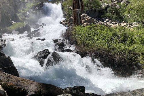 A powerful waterfall cascades over rocky terrain surrounded by lush greenery under a clear blue sky, evoking the breathtaking landscapes of Bishop, California. visit bishop