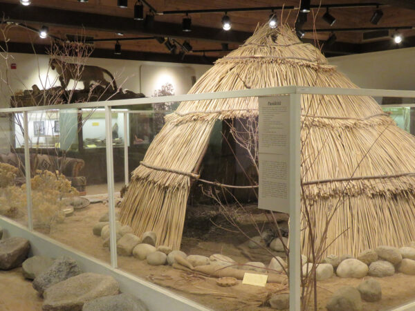 A museum display showcasing a reconstructed reed hut, surrounded by rocks and plants, enclosed in glass. visit bishop