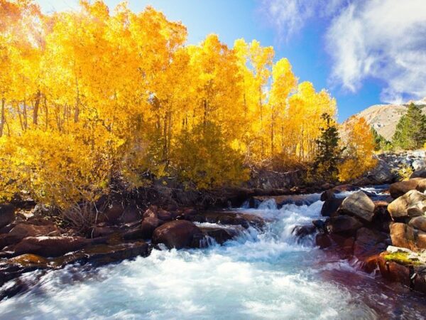 A vibrant autumn scene with a flowing river, surrounded by golden-leaved trees under a bright blue sky. visit bishop