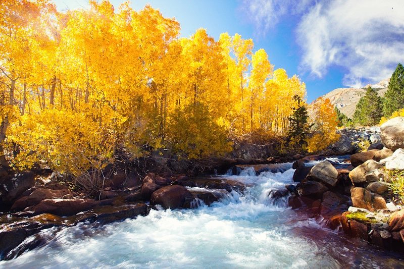 A vibrant autumn scene with a flowing river, surrounded by golden-leaved trees under a bright blue sky. visit bishop