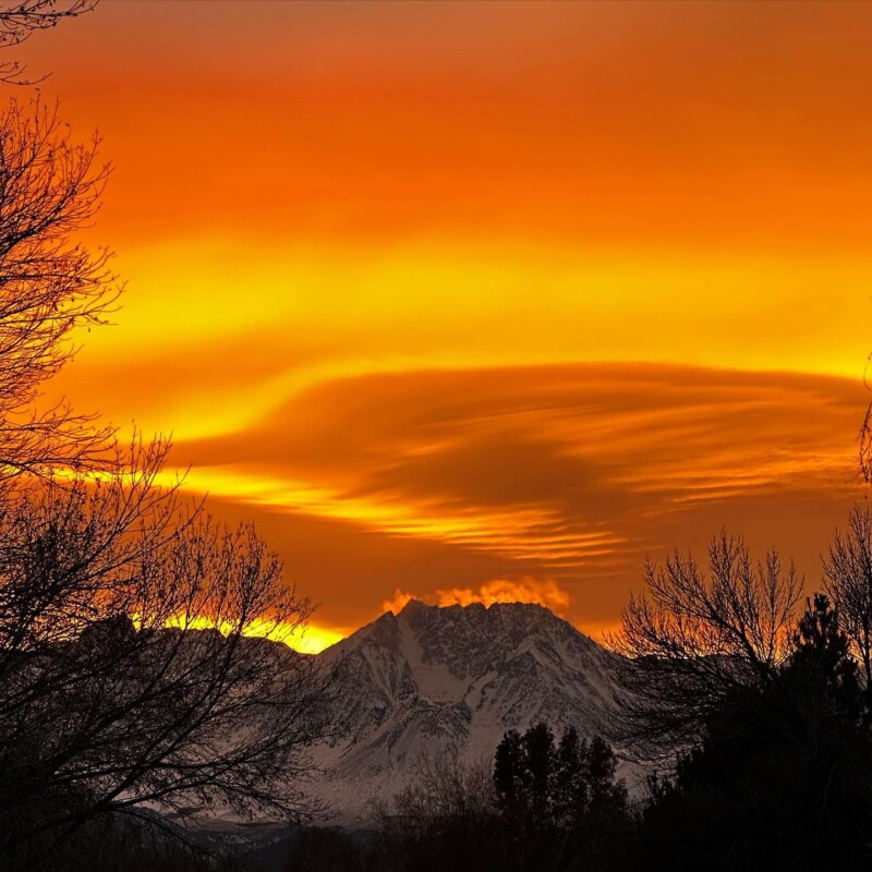 Vibrant orange sunset over snow-covered mountains, framed by tree branches in Bishop, California's stunning Eastern Sierra. visit bishop