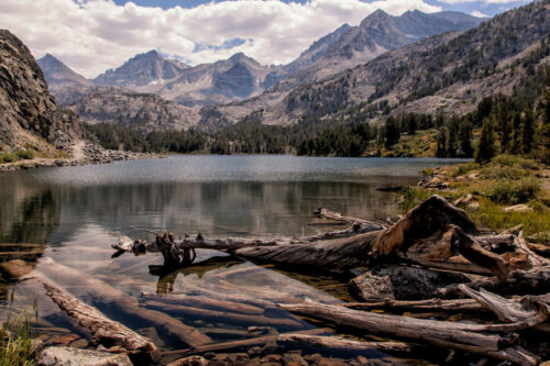 A serene mountain lake with clear water and scattered logs in the foreground. Majestic, rocky mountain peaks loom under a partly cloudy blue sky. Dense forest lines the shore, merging with the verdant grass and rugged terrain around the lake near Bishop, California. visit bishop