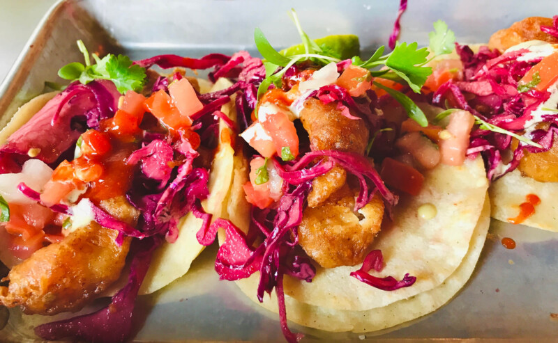 Three fish tacos topped with vibrant red cabbage, diced tomatoes, and fresh greens on a metal tray. visit bishop