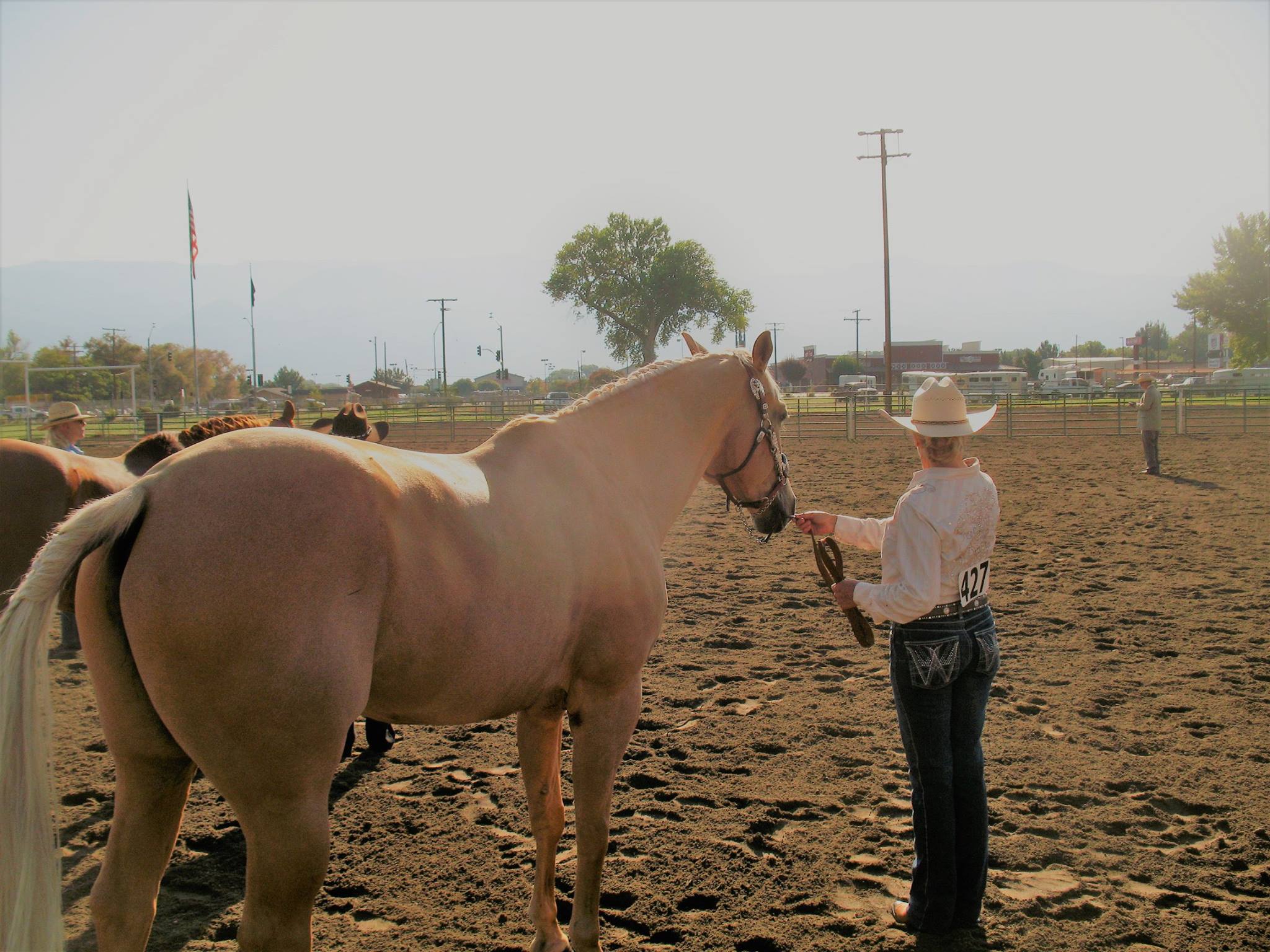 Person in western attire holding a show horse's bridle at an outdoor event on a sunny day in Bishop, California. visit bishop