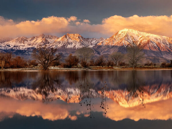 Snow-capped mountains at sunset reflected in a calm lake, with bare trees in the foreground and clouds overhead. visit bishop