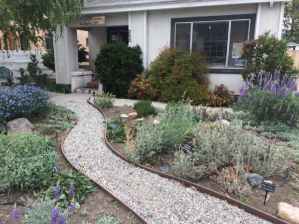 A white house in Bishop, California, with a sign reading "Adams Visitor Center" above the door. A narrow gravel path, bordered by various flowering plants and shrubs, leads to the entrance. Small black signs label some of the plants. Two windows can be seen on the house. visit bishop