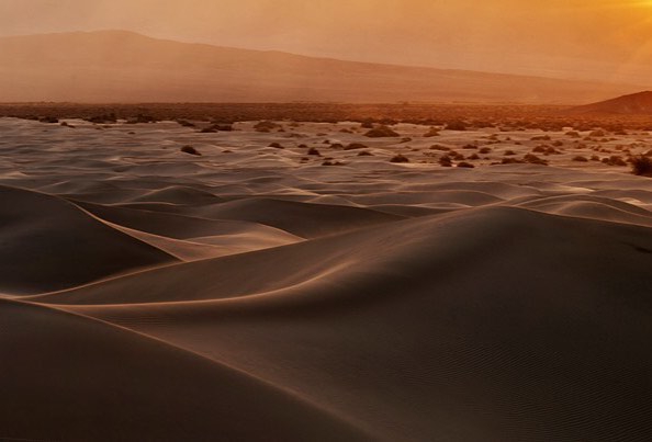 A vast desert landscape at sunset near Bishop, California, features gently undulating sand dunes. Golden light from the setting sun casts long shadows, emphasizing the ripples on the sand. Sparse vegetation dots the foreground, with distant mountains visible in the background. visit bishop