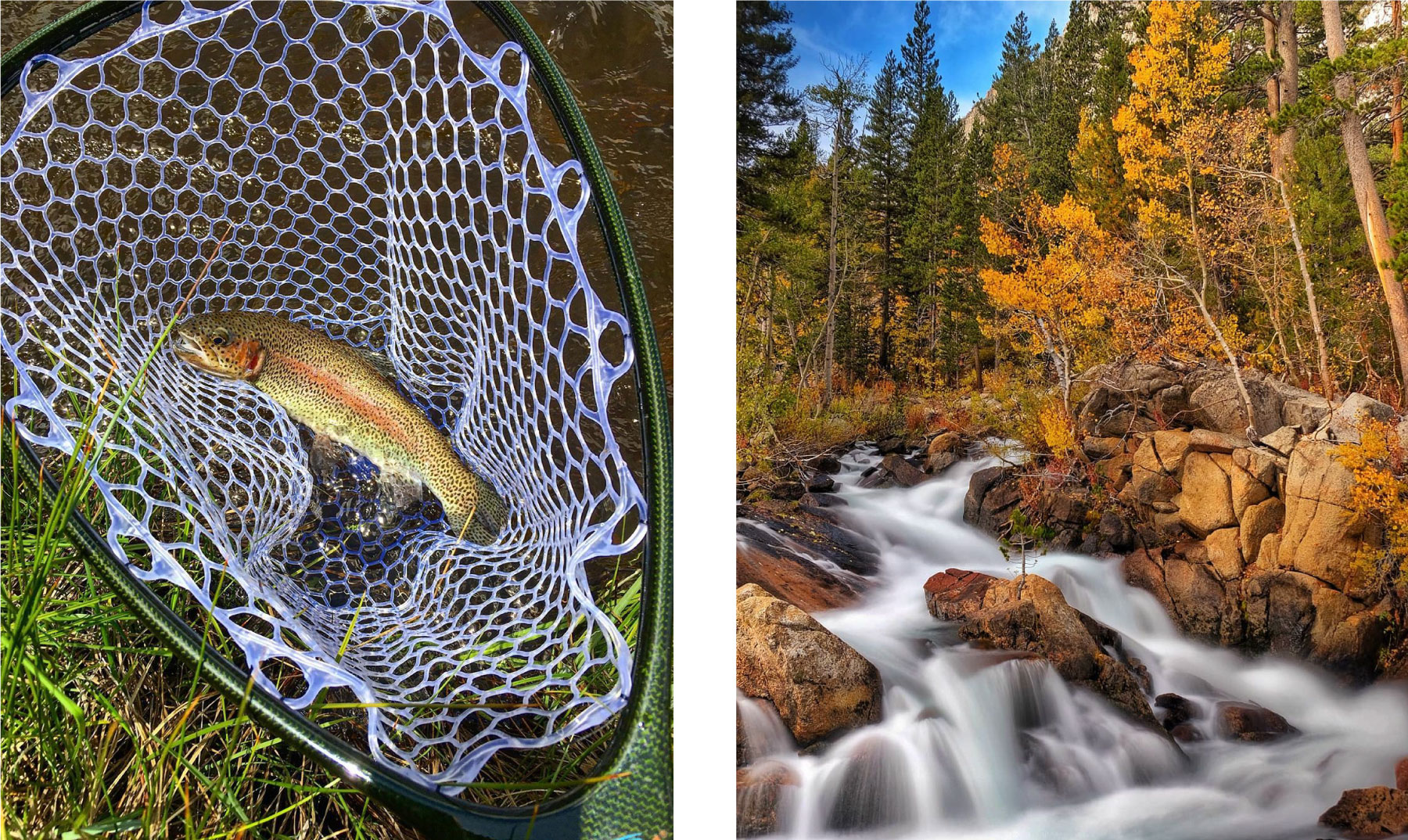 A fish caught in a net on the left; a scenic forest waterfall with autumn foliage on the right, reminiscent of the breathtaking landscapes found in Bishop, California in the Eastern Sierra. visit bishop