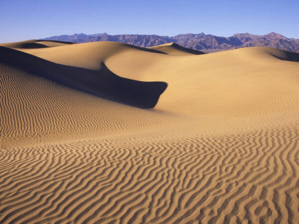 A vast desert landscape with rippled sand dunes under a clear blue sky, with the majestic mountains of the Eastern Sierra visible in the background near Bishop, California. visit bishop