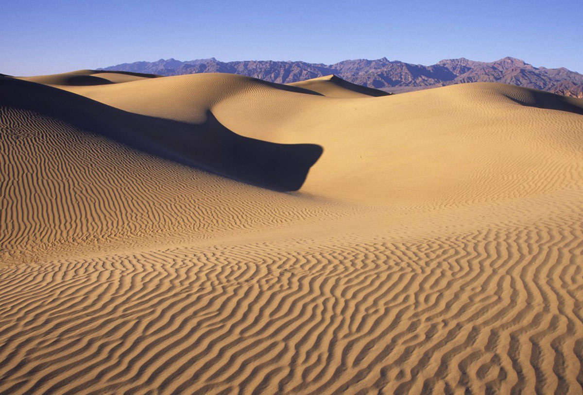 A vast desert landscape with rippled sand dunes under a clear blue sky, with the majestic mountains of the Eastern Sierra visible in the background near Bishop, California. visit bishop