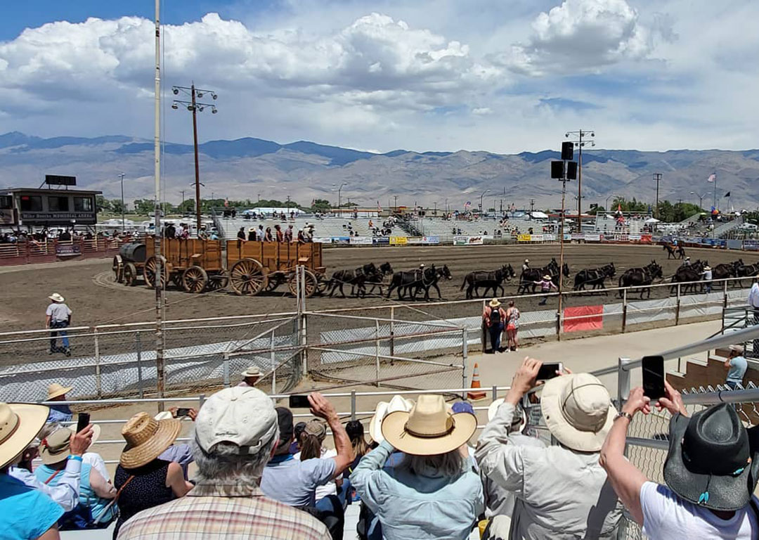 Outdoor rodeo in Bishop, California, with a crowd watching a stagecoach drawn by multiple horses in an arena, and the stunning Eastern Sierra mountains in the background. visit bishop