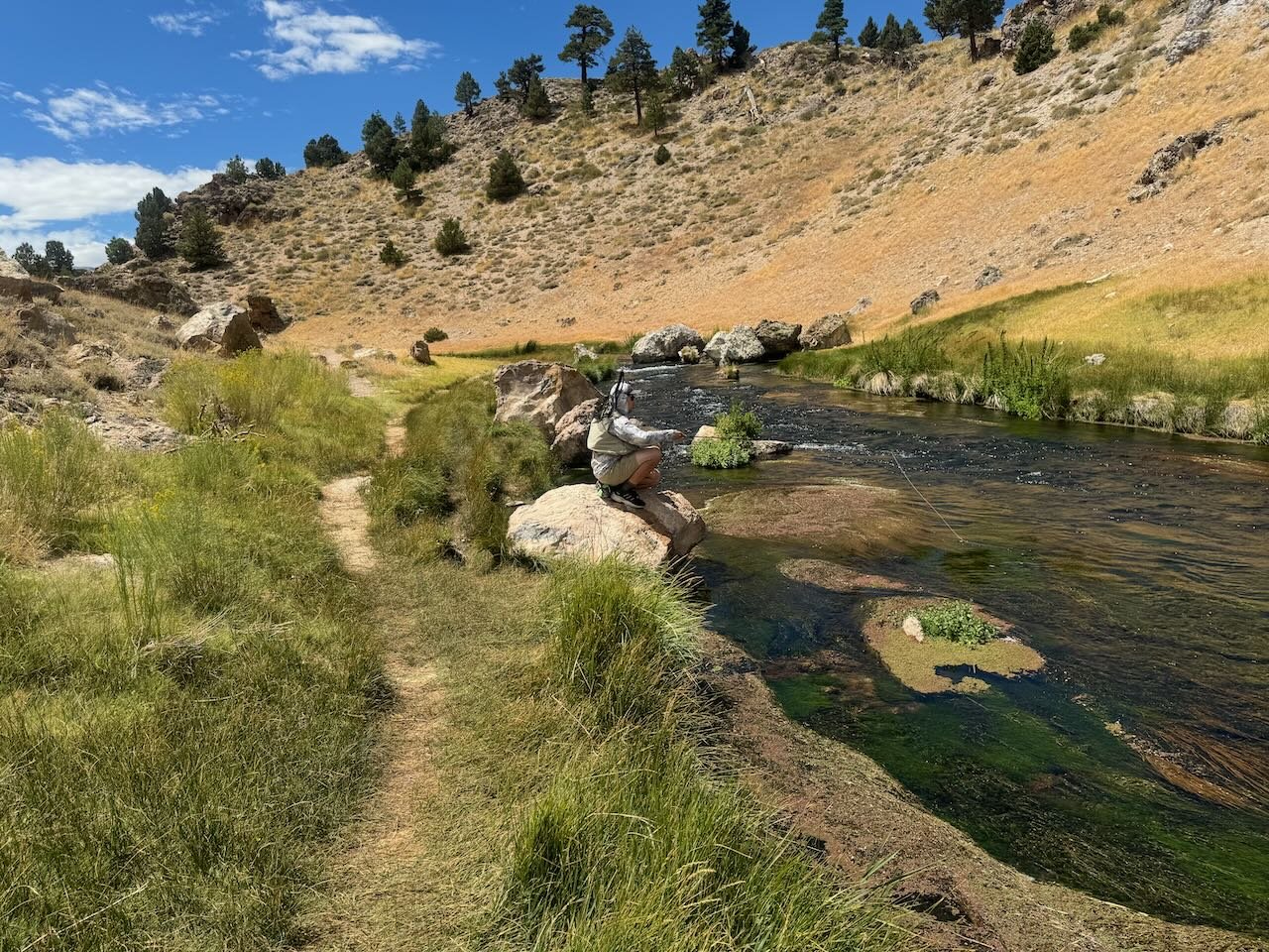 Person sitting on a rock beside a river in the grassy, hilly landscape of Bishop, California's Eastern Sierra under a blue sky with scattered clouds. visit bishop