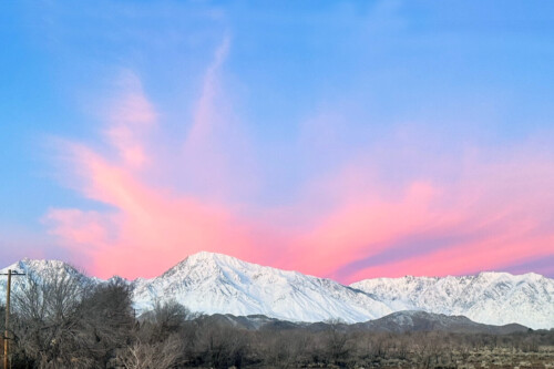 Snow-covered mountains under a vibrant pink and blue sunrise sky with bare trees in the foreground, capturing the breathtaking beauty of Bishop, California in the Eastern Sierra. visit bishop