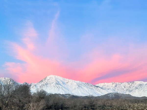 Snow-covered mountains under a vibrant pink and blue sunrise sky with bare trees in the foreground, capturing the breathtaking beauty of Bishop, California in the Eastern Sierra. visit bishop