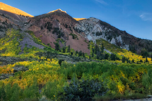 Sunlit mountains with green and yellow trees in the foreground bask under a clear blue sky near Bishop, California, in the breathtaking Eastern Sierra. visit bishop