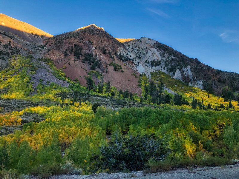 Sunlit mountains with green and yellow trees in the foreground bask under a clear blue sky near Bishop, California, in the breathtaking Eastern Sierra. visit bishop